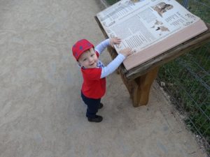 Zdjęcie przedstawia maleńkiego chłopczyka w czerwonej czapce z daszkiem