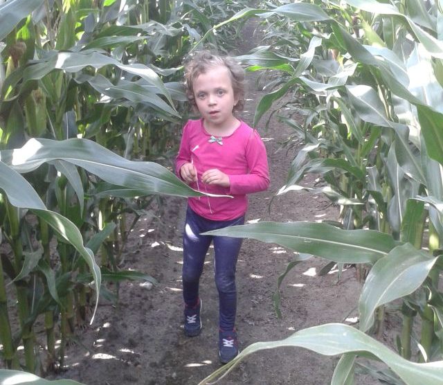 Zdjęcie przedstawia dziewczynkę w polu kukurydzy