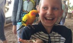Zdjęcie przedstawia dziewczynkę z papużką na ramieniu