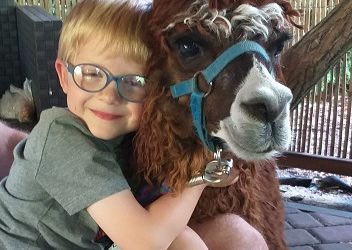 Zdjęcie przedstawia chłopca w okularach z alpaką
