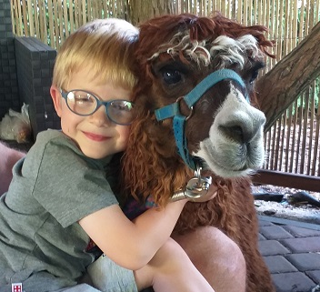 Zdjęcie przedstawia chłopca w okularach z alpaką